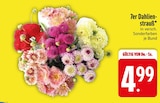 7er Dahlienstrauß im aktuellen EDEKA Prospekt