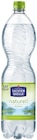 Aktuelle Wasser Angebote bei REWE in Leipzig Aktuelles Naturell Angebot bei REWE in Leipzig ab 0,49 €