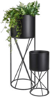 Aktuelle Blumentopf Angebote bei XXXLutz Möbelhäuser in Essen Aktuelles Pflanztopf Angebot bei XXXLutz Möbelhäuser in Essen ab 29,99 €