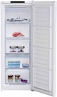 Aktuelles Gefrierschrank RFNM200T40WN Angebot bei expert in Dresden ab 379,00 €