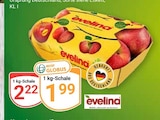 Evelina im Angebot bei GLOBUS in Wolfenbüttel Evelina Angebote bei GLOBUS Wolfenbüttel für 1,99 €