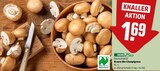 Braune Bio Champignons Angebote von REWE Bio bei REWE Erftstadt für 1,69 €