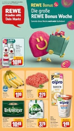 REWE Discounter Prospekt der aktuellen Woche mit 26 Seiten, gültig von 13.10.2025 bis 18.10.2025, in Niederroßla und Umgebung Aktueller REWE Discounter Prospekt in Niederroßla und Umgebung, "Dein Markt" mit 26 Seiten, 13.10.2025 - 18.10.2025