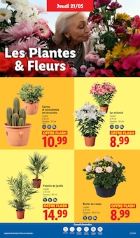 Catalogue Lidl, 21/05/2026 - 27/05/2026, Ça vaut le coup., 70 pages Prospectus Lidl en cours, "Ça vaut le coup.", 70 pages