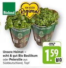 EDEKA Hohberg - Bio Basilikum Angebot im Prospekt Bio Basilikum bei EDEKA im Hohberg Prospekt für 1,59 €