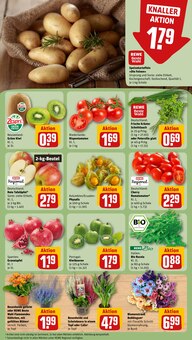 Obst im aktuellen REWE Prospekt (Stuttgart) Obst im REWE Prospekt "Dein Markt" mit 20 Seiten (Stuttgart)