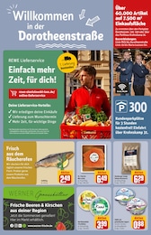 Bio Lachs Angebot & Preis im aktuellen REWE Prospekt Bio Lachs Angebot im aktuellen REWE Prospekt auf Seite 31
