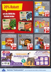 Aktueller EDEKA Prospekt mit Bratpfanne, "Top Angebote", Seite 12