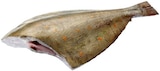 Aktuelle Fisch Angebote bei REWE in Hildesheim Aktuelles Scholle Angebot bei REWE in Hildesheim ab 1,59 €