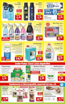 Persil im Zimmermann Prospekt "Mehr als Du denkst!" mit 10 Seiten (Oldenburg)