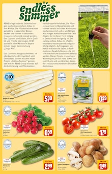 Pilze im REWE Prospekt "Dein Markt" mit 28 Seiten (Nürnberg)