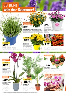 Blumentopf im aktuellen OBI Prospekt (Oberhausen) Blumentopf im OBI Prospekt "BIBERSTARKE ANGEBOTE" mit 24 Seiten (Oberhausen)