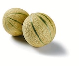 Lidl - Cantaloupemelone Angebot im Prospekt Cantaloupemelone bei Lidl im Prospekt "" für 1,29 €
