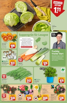 Damenbekleidung Angebot im REWE Prospekt, gültig von 19.01.2026 bis 24.01.2026 Damenbekleidung Angebot im aktuellen REWE Prospekt auf Seite 11