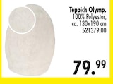 Aktuelle Teppich Angebote bei SB Möbel Boss in Hildesheim Aktuelles Teppich Olymp Angebot bei SB Möbel Boss in Hildesheim ab 79,99 €