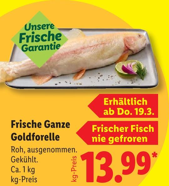Frische Ganze Goldforelle