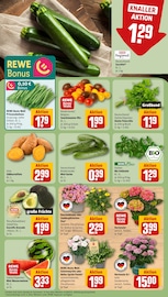 Ähnliche Seerose Angebote im Prospekt "Dein Markt" von REWE Ähnliches Angebot bei REWE in Prospekt "Dein Markt" gefunden auf Seite 7