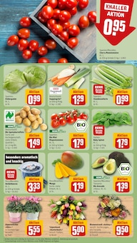 Tomaten im REWE Prospekt "Dein Markt" mit 20 Seiten (Siegen (Universitätsstadt))