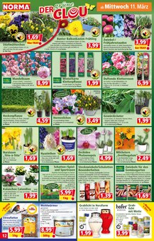 Kerzen im Norma Prospekt "Mehr fürs Geld" mit 18 Seiten (Würzburg)