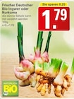 Frischer Deutscher Bio Ingwer oder Kurkuma bei WEZ im Hüllhorst Prospekt für 1,79 €