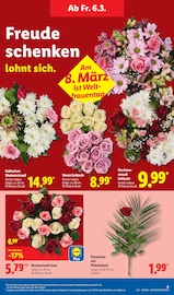 Aktueller Lidl Prospekt mit Blumen, "LIDL LOHNT SICH", Seite 15