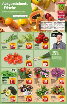 Blumen im REWE Prospekt "Dein Markt" mit 34 Seiten (Bremen)