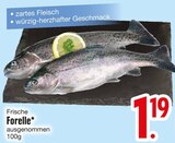 Frische Forelle Angebote bei EDEKA Dachau für 1,19 €