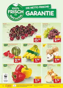 Weintrauben im Netto Marken-Discount Prospekt "Aktuelle Angebote" mit 51 Seiten (Bochum)