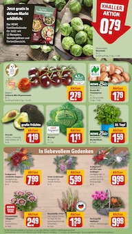 Blumentopf im REWE Prospekt "Dein Markt" mit 22 Seiten (Bergisch Gladbach)