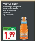 Cocktail Plant Angebote von Cocktail Plant bei Marktkauf Bielefeld für 1,99 €