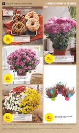 Fleurs Angebote im Prospekt "TOUT VOTRE MAGASIN CONTRE LA VIE CHÈRE" von Intermarché Super Fleurs Angebote im Prospekt "TOUT VOTRE MAGASIN CONTRE LA VIE CHÈRE" von Intermarché Super auf Seite 10