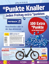 Netto Marken-Discount Fahrrad im Prospekt 