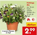 Frühlings Mix im Angebot bei Netto Marken-Discount in Ansbach Frühlings Mix Angebote bei Netto Marken-Discount Ansbach für 2,99 €