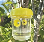 Promo Piège à insectes à 1,49 € dans le catalogue Bazarland à Saint-Hilaire-de-Brethmas