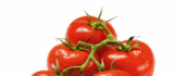 Rispentomaten im Angebot bei Netto Marken-Discount in Amberg Rispentomaten Angebote bei Netto Marken-Discount Amberg für 1,19 €