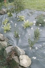 Gedimat Canet-en-Roussillon - Promo Toile de paillage WEEDSOL Promo Toile de paillage WEEDSOL à 1,30 € dans le catalogue Gedimat à Canet-en-Roussillon