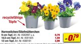 Aktuelles Hornveilchen oder Stiefmütterchen Angebot bei toom Baumarkt in Heilbronn ab 0,79 €