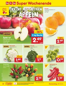 Pflanzen im Netto Marken-Discount Prospekt "Aktuelle Angebote" mit 59 Seiten (Erfurt)