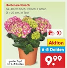 Aktuelle Hortensie Angebote bei Netto Marken-Discount in Erlangen Aktuelles Hortensienbusch Angebot bei Netto Marken-Discount in Erlangen ab 9,99 âŹ