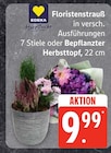 Aktuelle Blumen Angebote bei EDEKA Frischemarkt in Rostock Aktuelles Floristenstrauß Angebot bei EDEKA Frischemarkt in Rostock ab 9,99 €