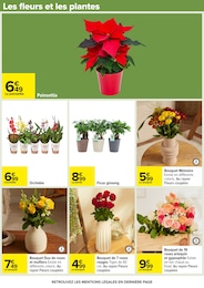 Prix et réduction Orchidée dans le prospectus Carrefour en cours Offre Orchidée dans le catalogue Carrefour du moment à la page 49