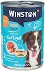 Hund Junior Pastete von Winston im aktuellen Rossmann Prospekt für 0,79 €