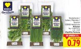 Herzstücke Küchenhelfer Kräuter von EDEKA im aktuellen E center Prospekt für 0,79 €