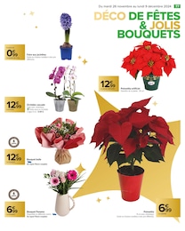 Offre Orchidée dans le catalogue Carrefour du moment à la page 81