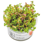 Angebot im Das Futterhaus Alt Duvenstedt Prospekt Das Futterhaus Alt Duvenstedt Prospekt mit im Angebot für