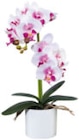 Kunstpflanze 'Phalaenopsis' Angebote bei mömax Halle für 7,99 €
