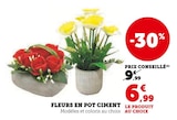 Fleurs en pot ciment dans le catalogue Super U