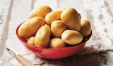 Pomme de terre de consommation à chair ferme - U - U Express à Schiltigheim Pomme de terre de consommation à chair ferme - U en promo chez U Express Schiltigheim à 2,25 €