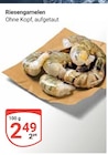 Aktuelle Garnelen Angebote bei GLOBUS in Bochum Aktuelles Riesengarnelen Angebot bei GLOBUS in Bochum ab 2,49 €