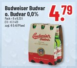 Trinkgut Niederzier Prospekt mit  im Angebot für 4,79 €
